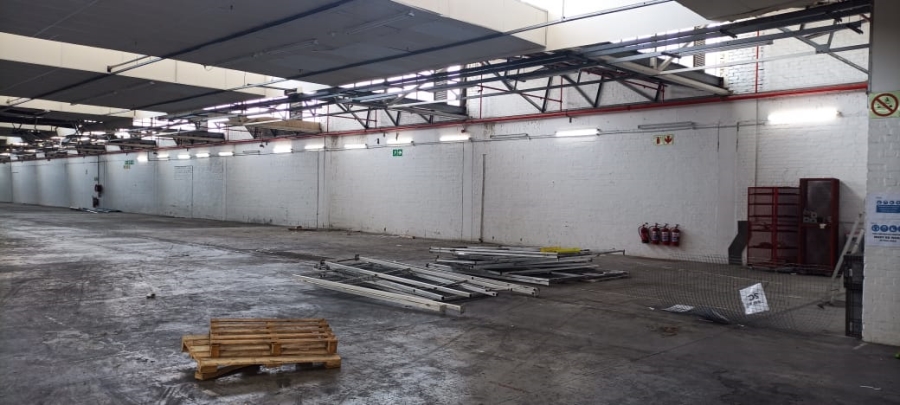 To Let commercial Property for Rent in Diep River Western Cape